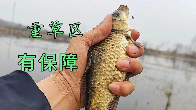 中高檔鯽魚竿，品質(zhì)卓越，技術(shù)精湛