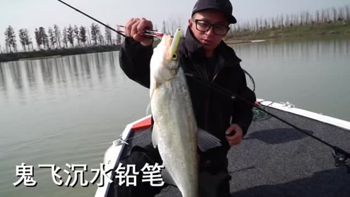 濮陽(yáng)路亞，釣魚新境界的魅力探尋